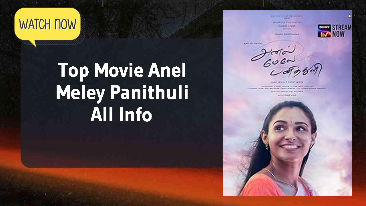 Anel Meley Panithuli