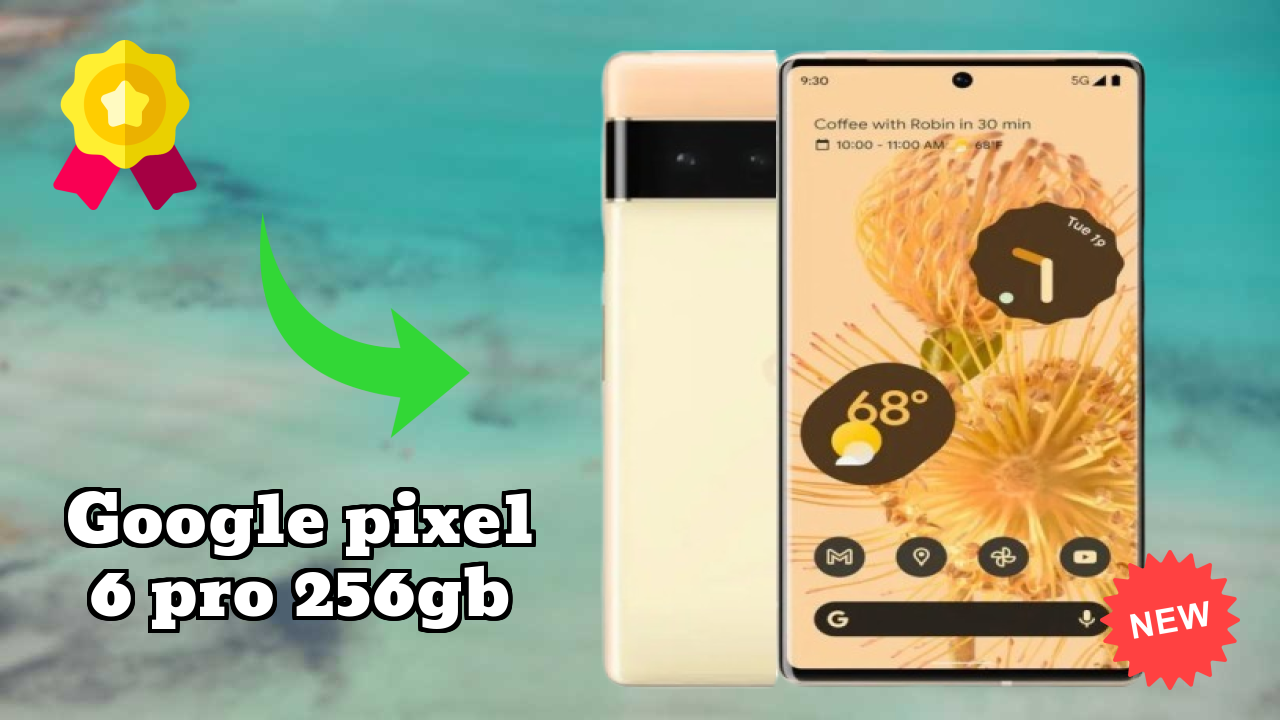 Google Pixel 6 Pro 256GB Display Analysis: P-OLED Quality