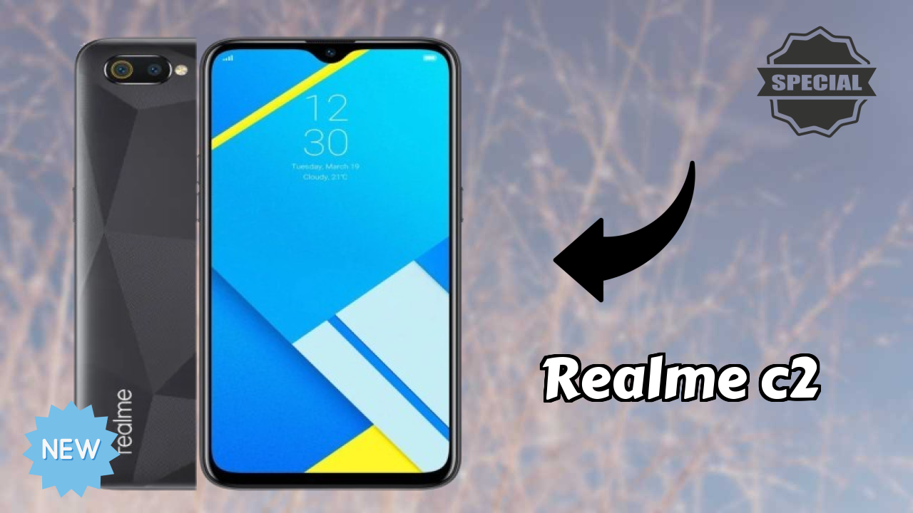 Realme C2 Camera Review: 13 MP + 2 MP Rear Camera Photo Test