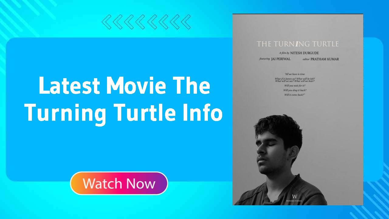 The Turning Turtle