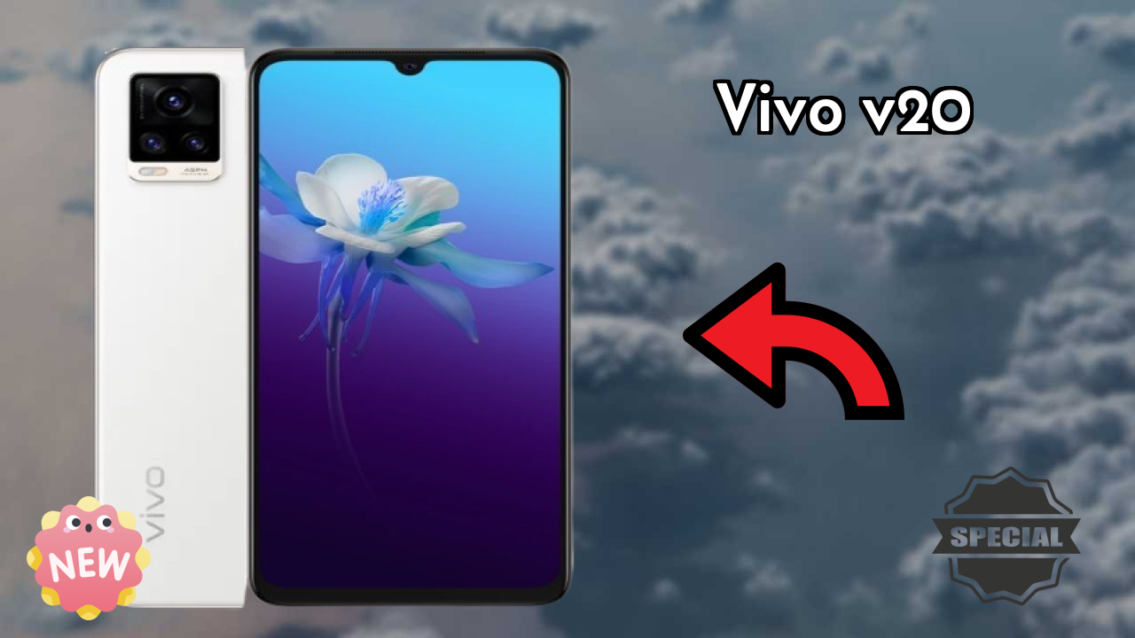 Vivo V20 Camera Review: 64 MP + 8 MP + 2 MP Rear Camera Photo Quality