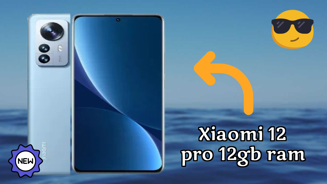 Xiaomi 12 Pro 12GB RAM Display Quality: AMOLED Explained
